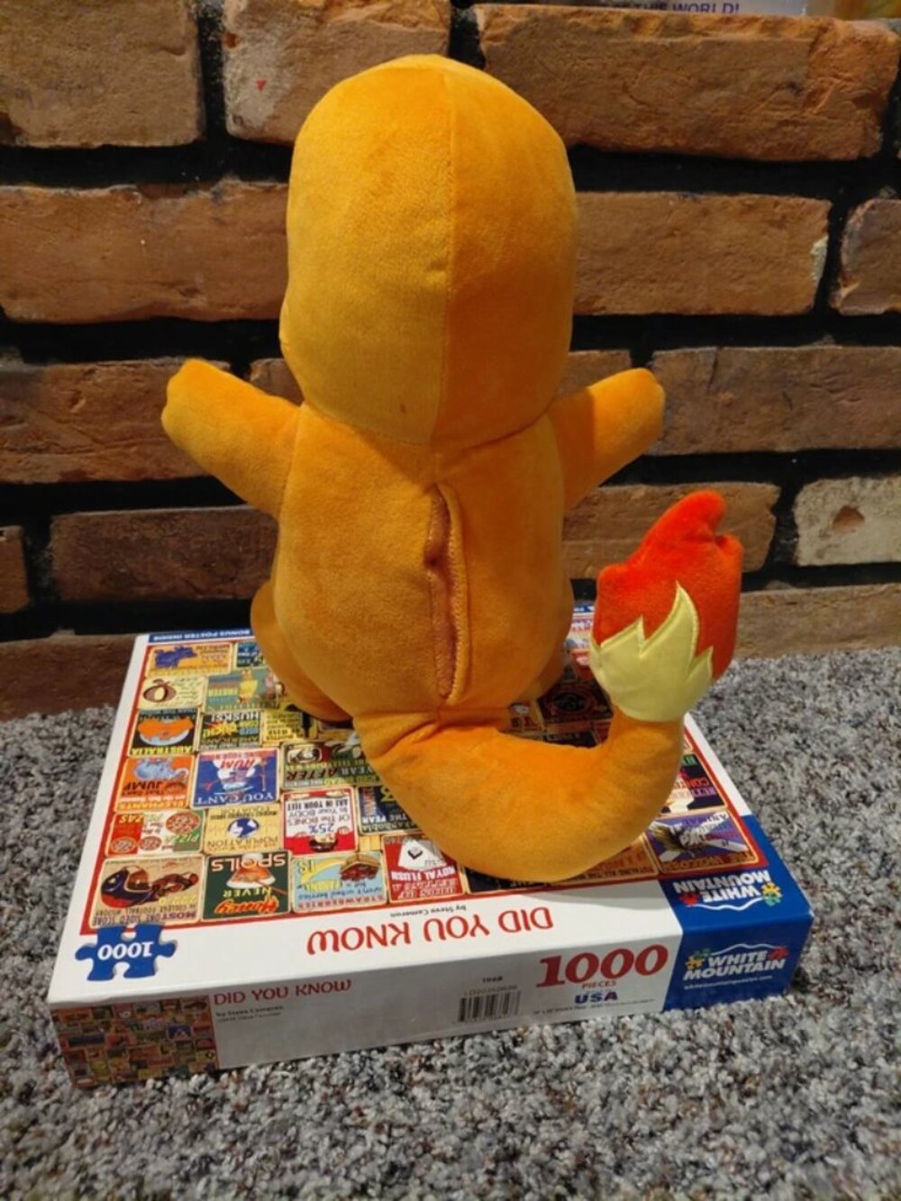 Charmander - Picture 4 of 5